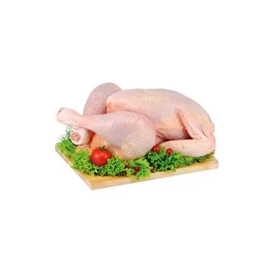 Domace pilece meso gril SM