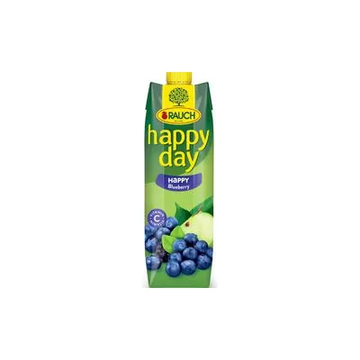 Brik happy day family borovnica 1l rauch