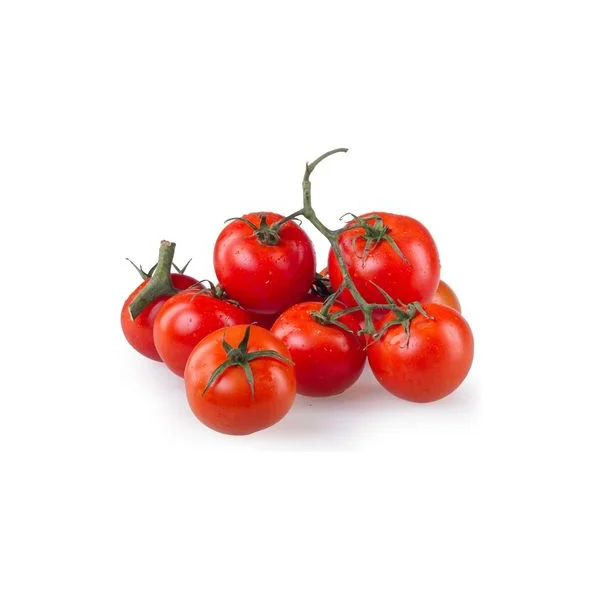 Paradajz Grapola