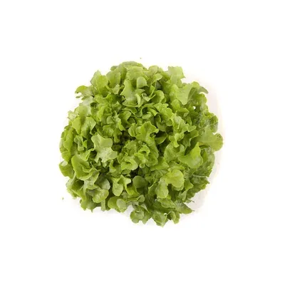 Salata Puterica domaca